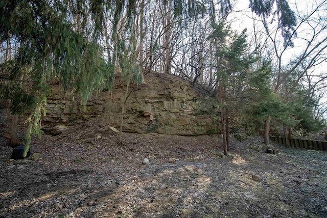 view of nature