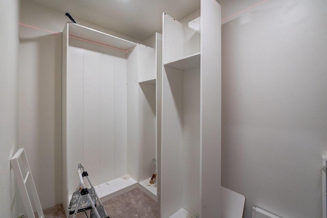 spacious closet featuring light carpet