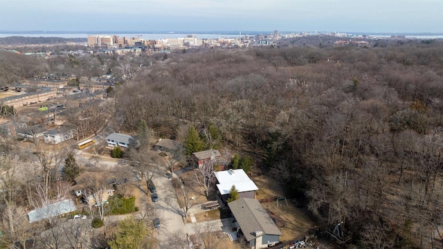 drone / aerial view