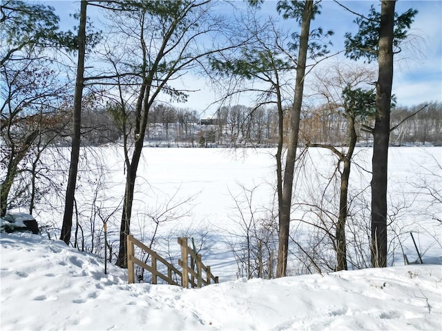 view of yard layered in snow