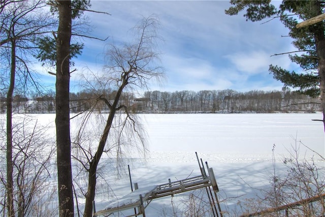 yard covered in snow featuring a boat dock