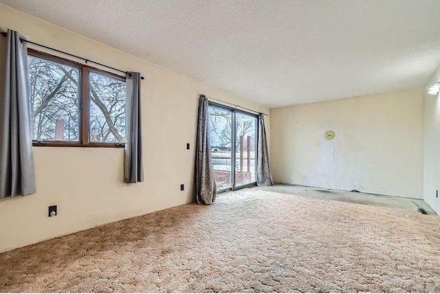 carpeted spare room with plenty of natural light and a textured ceiling