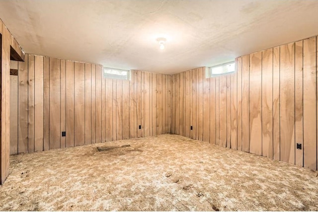 interior space with wood walls and carpet flooring