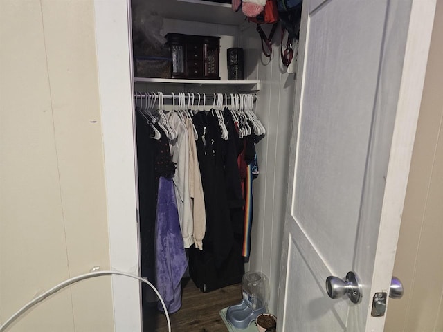 view of closet