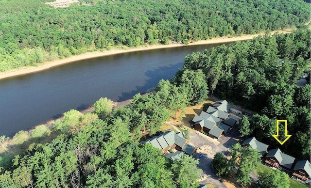 bird's eye view with a forest view and a water view