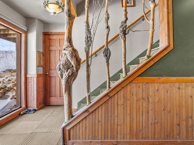 interior space with a wainscoted wall, carpet, and wooden walls