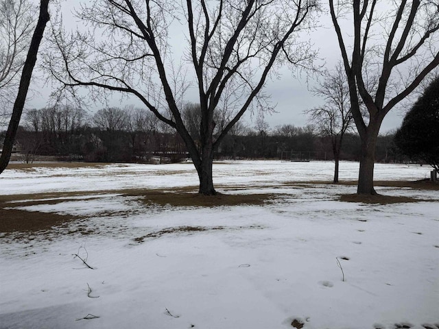 view of yard layered in snow