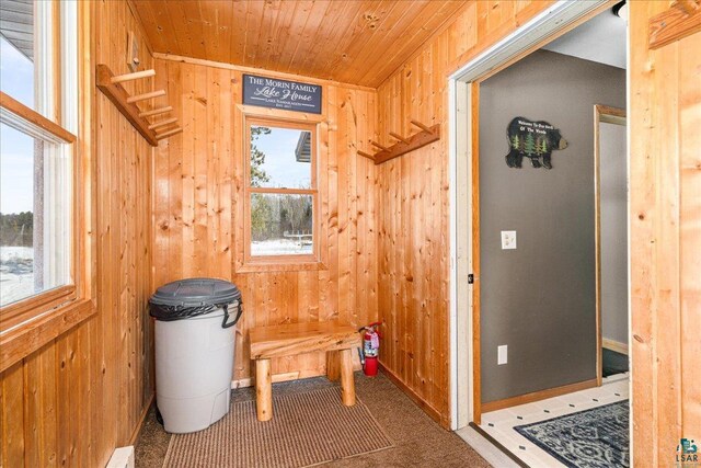 43240 County Highway D, Cable, WI 54821 - relaxing sauna featuring wood walls, wooden ceiling, carpet floors, and baseboards