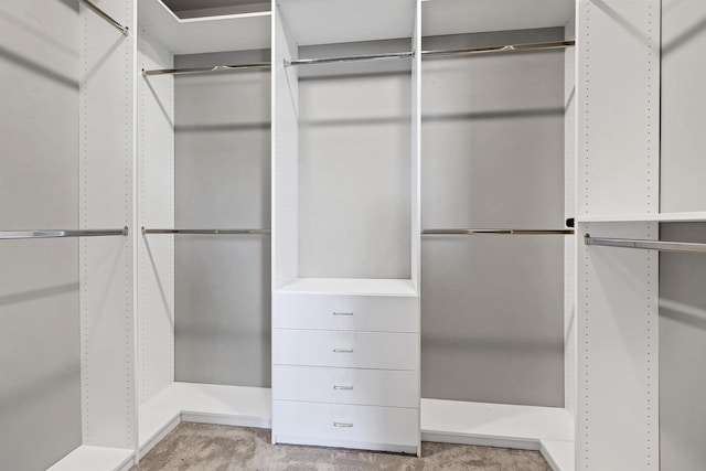 walk in closet featuring light colored carpet