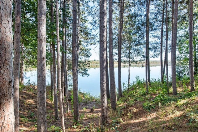 view of water feature with a wooded view