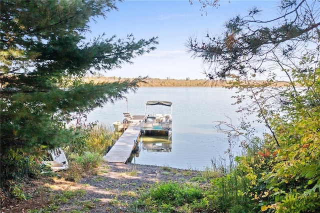 dock area featuring a water view