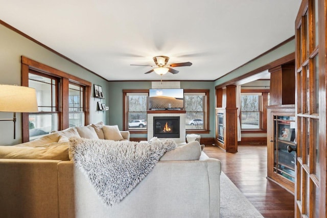 living room featuring wood finished floors, ceiling fan, ornamental molding, and a glass covered fireplace