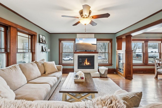 living area with ornamental molding, a glass covered fireplace, plenty of natural light, and wood finished floors