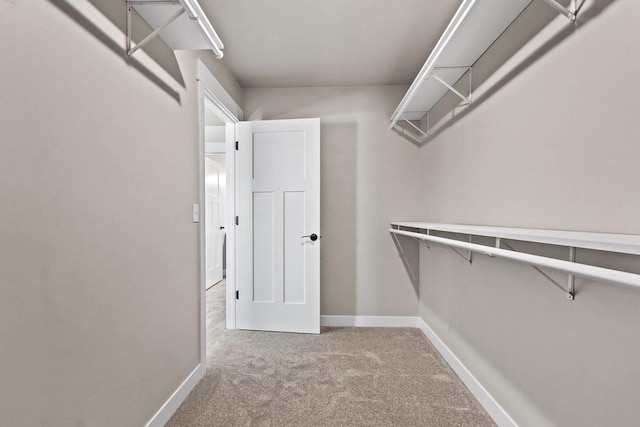 spacious closet with carpet flooring