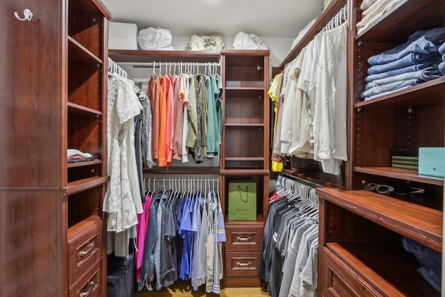 view of spacious closet