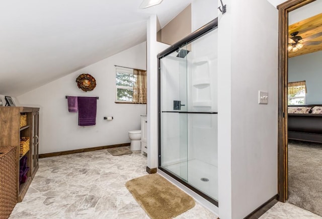 297 Debuhr Ln, Platteville, WI 53818 - full bath with toilet, a stall shower, baseboards, and vaulted ceiling