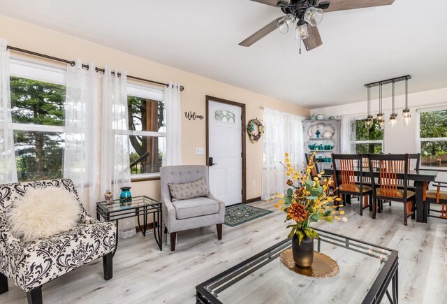 297 Debuhr Ln, Platteville, WI 53818 - living area featuring a ceiling fan, a wealth of natural light, and light wood-style flooring