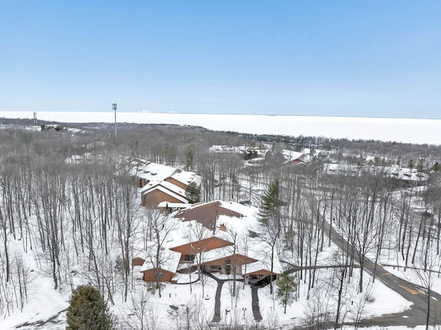 view of snowy aerial view