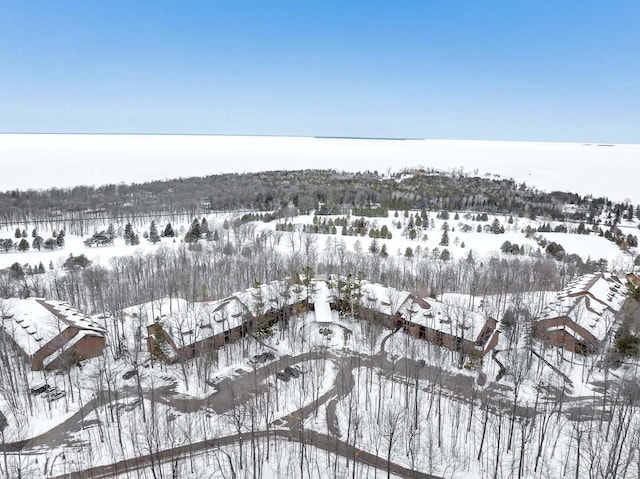 view of snowy aerial view