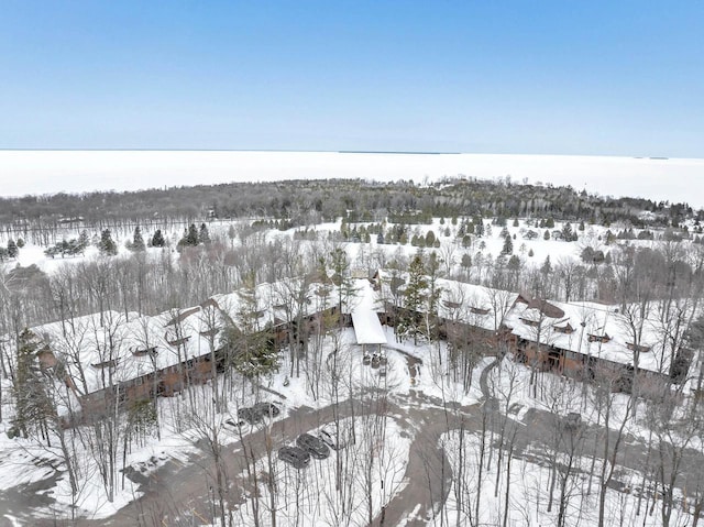 view of snowy aerial view