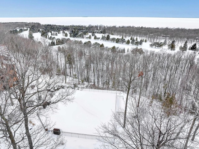 view of snowy aerial view