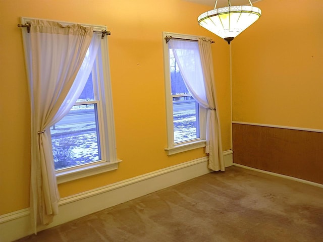 bonus room featuring a wealth of natural light and carpet