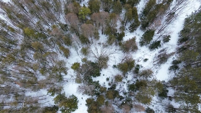 view of snow covered land