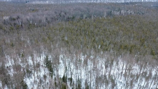 view of local wilderness with a wooded view