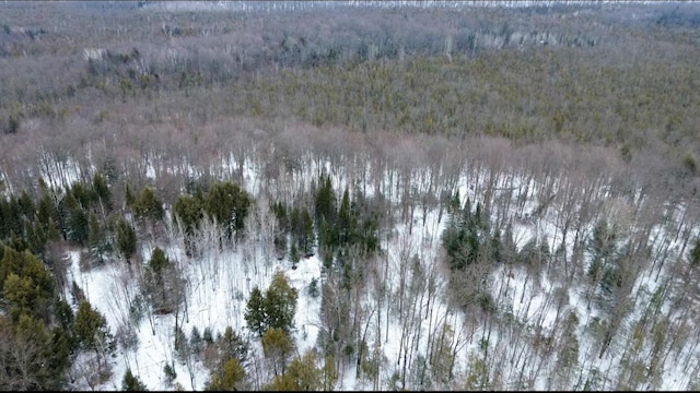 bird's eye view with a forest view