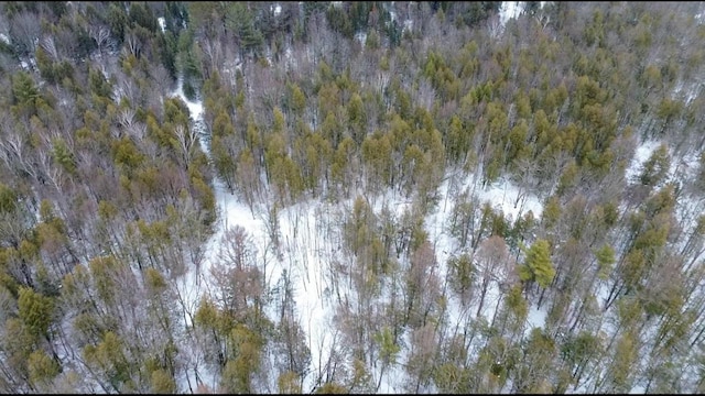 birds eye view of property featuring a wooded view