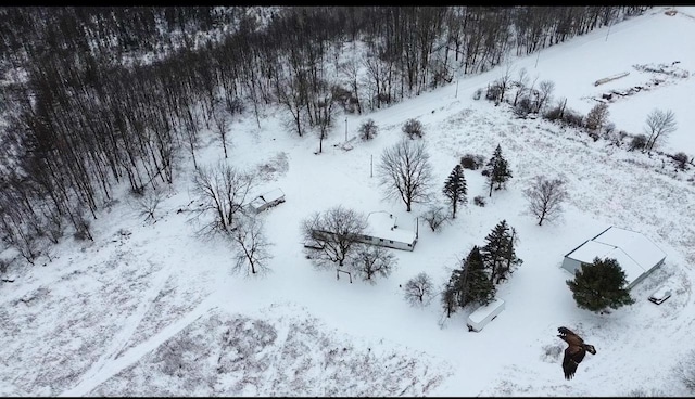 view of snowy aerial view