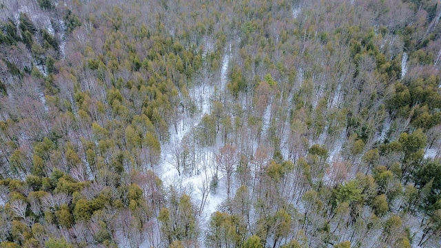 birds eye view of property featuring a forest view