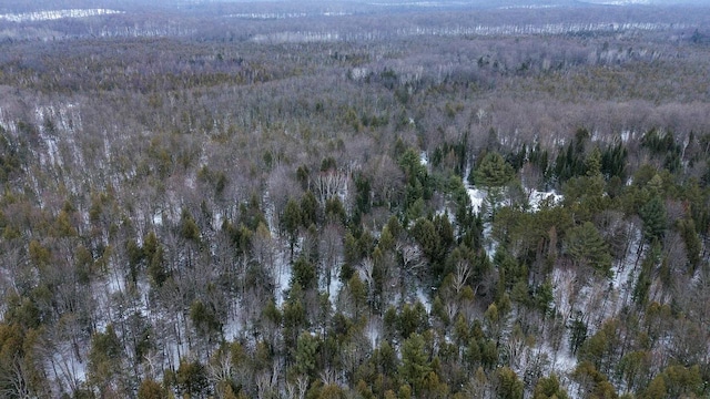 aerial view with a wooded view