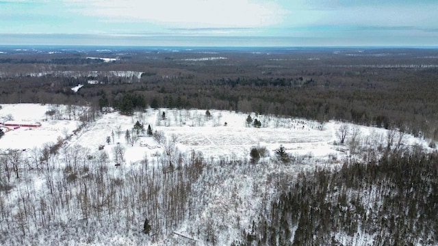 snowy aerial view with a wooded view