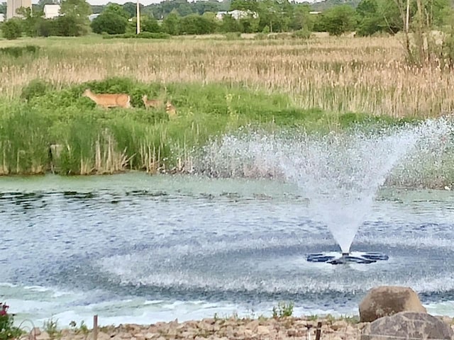 water view