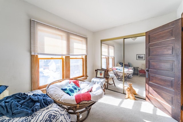 bedroom featuring carpet floors and a closet