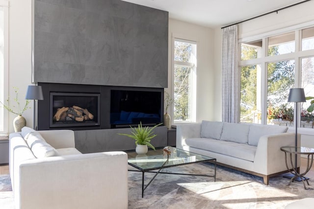 living area featuring a fireplace and a wealth of natural light