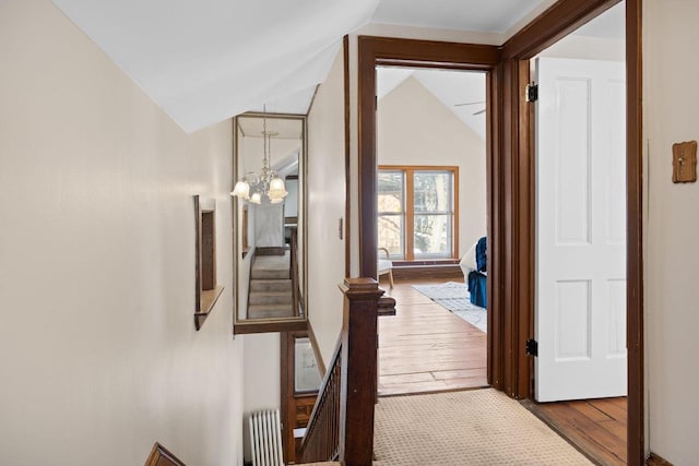 corridor with hardwood / wood-style flooring, a notable chandelier, vaulted ceiling, stairs, and radiator