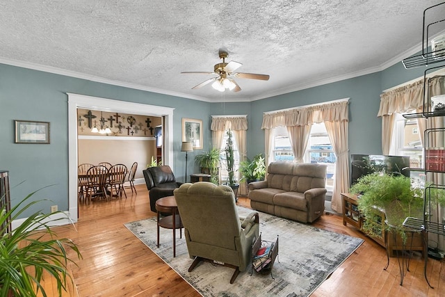 355 W Mill St, Columbus, WI 53925 - living room with ceiling fan, hardwood / wood-style flooring, ornamental molding, and a textured ceiling