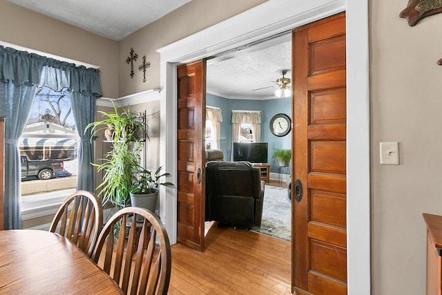 dining space featuring ceiling fan, light wood-style flooring, and a textured ceiling