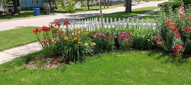 355 W Mill St, Columbus, WI 53925 - view of yard