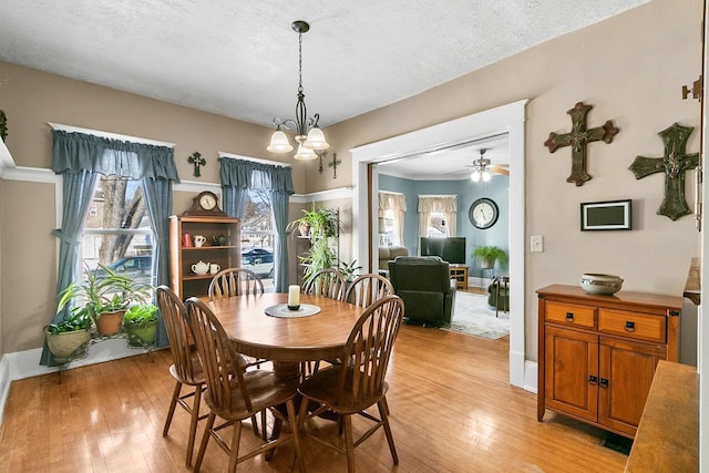 355 W Mill St, Columbus, WI 53925 - dining space featuring plenty of natural light, light wood-style floors, ceiling fan, a textured ceiling, and a chandelier
