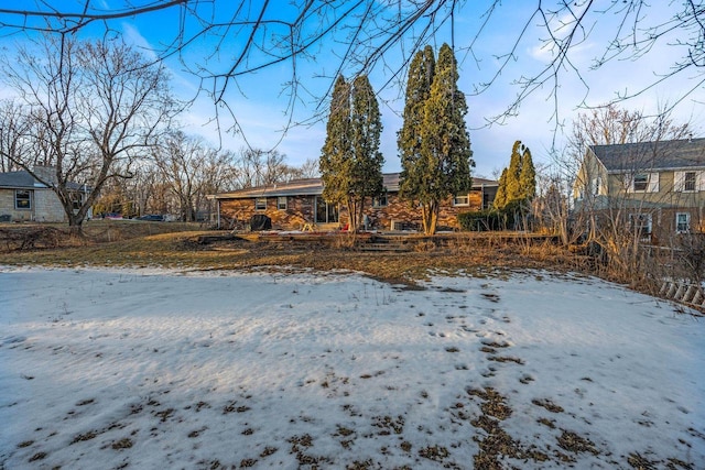 view of snowy yard