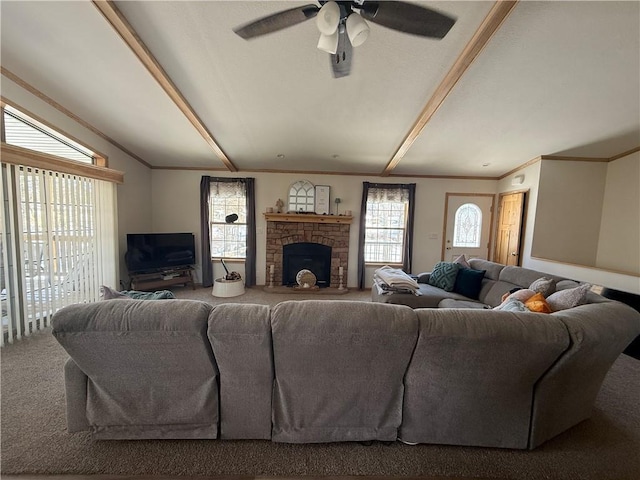 carpeted living area with lofted ceiling with beams, ornamental molding, a fireplace, and a ceiling fan