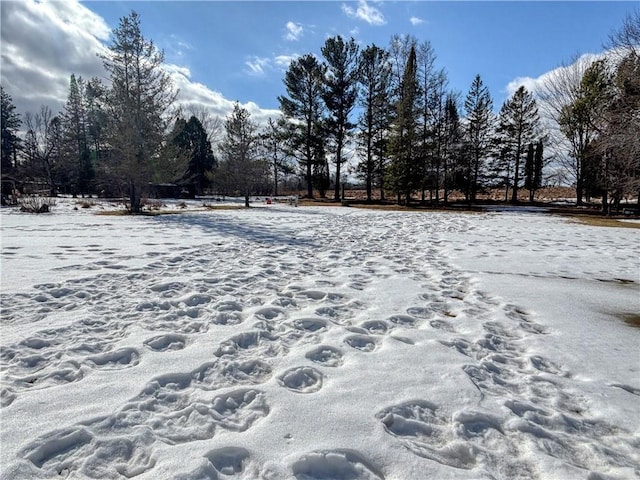 view of yard covered in snow