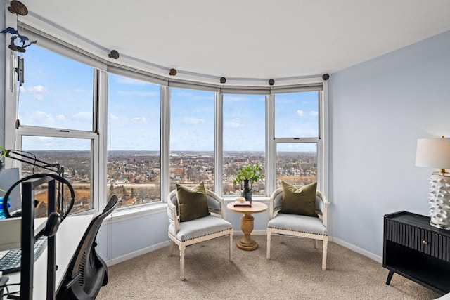 living area featuring carpet and baseboards