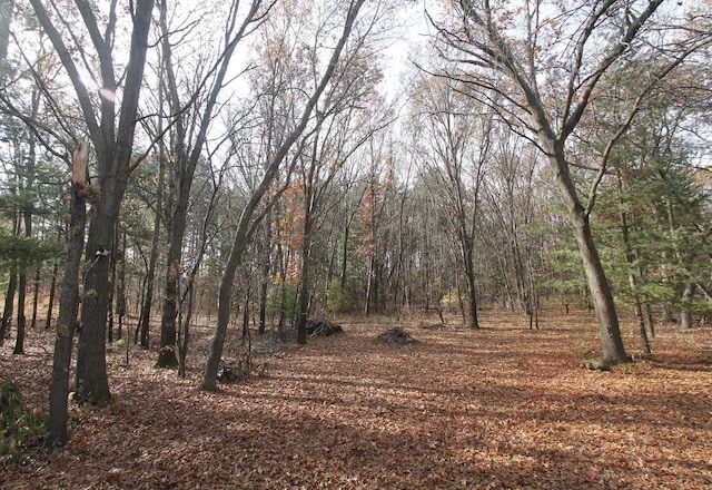 view of nature featuring a view of trees