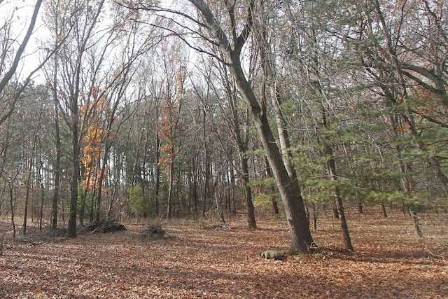 view of landscape featuring a view of trees