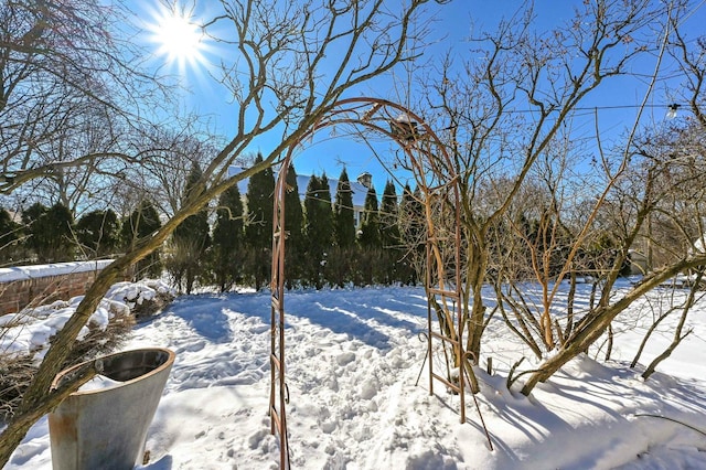 view of yard covered in snow