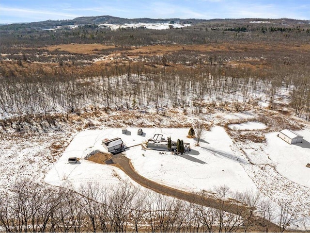 snowy aerial view featuring a mountain view